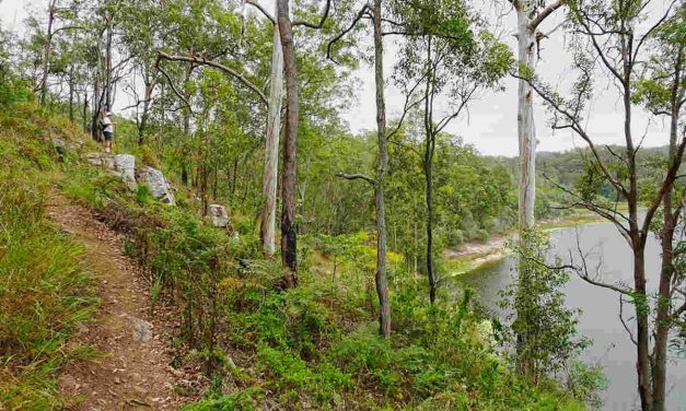 Gold Creek Reservoir Walk: A Gem in Brisbane’s West