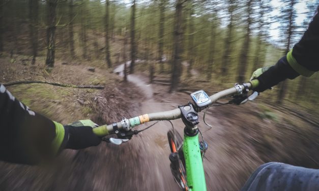 3 Of the best spots for mountain biking with kids near Melbourne