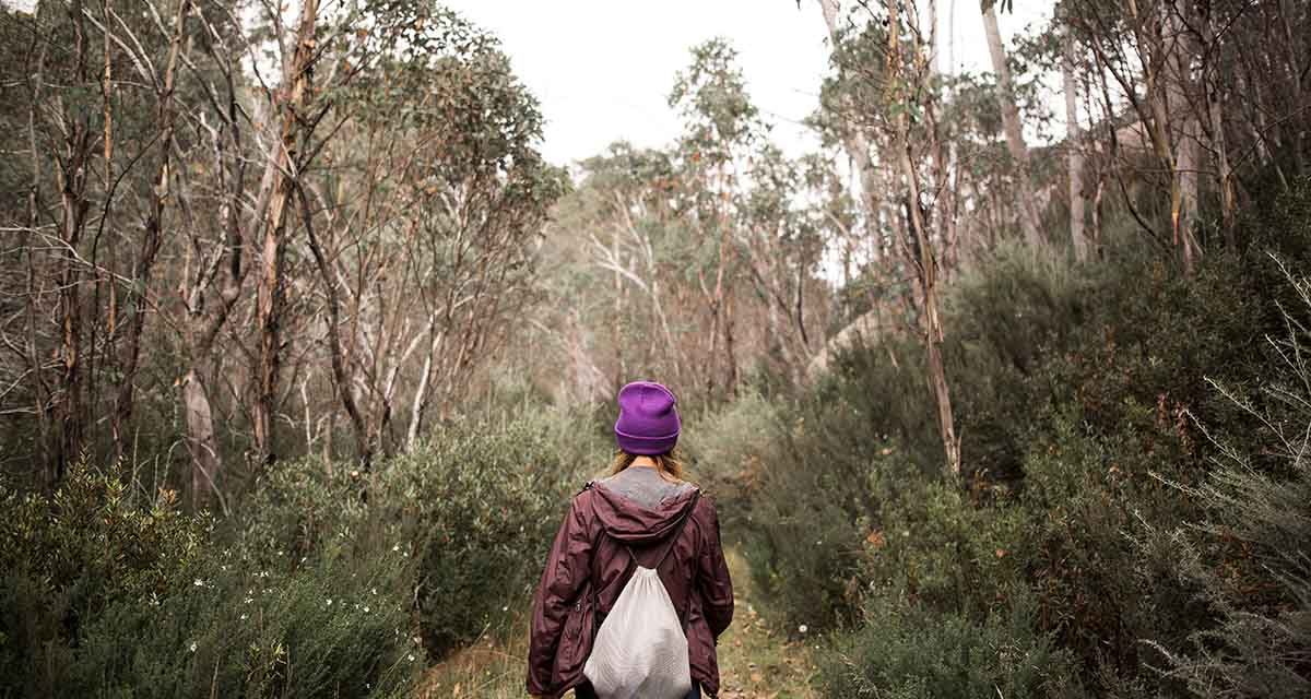 Best Hikes in Victoria – 6 of the state’s most stunning trails