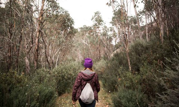 Best Hikes in Victoria – 6 of the state’s most stunning trails