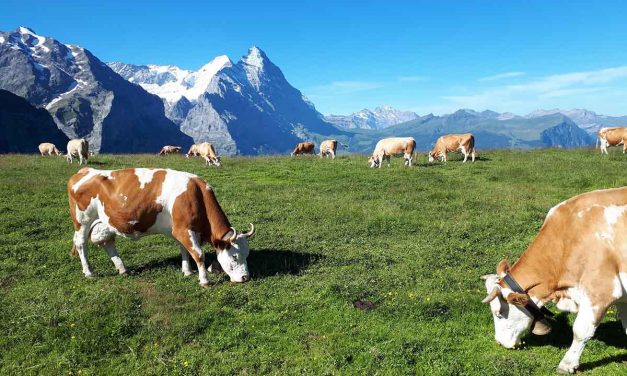 The best hikes in Switzerland