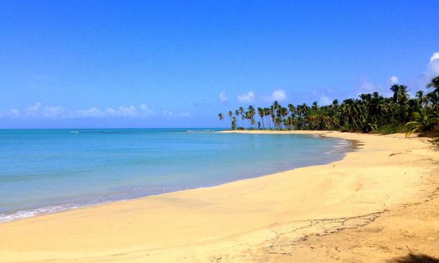 The 8 best outdoor adventures in the Dominican Republic