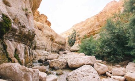 The Israel National Trail: The Ultimate Guide to a Timeless Trek