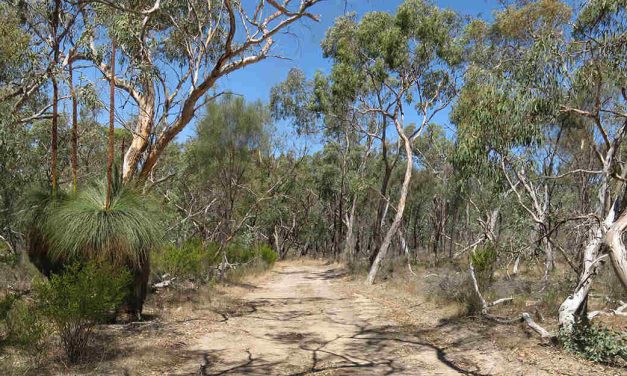 Mount Glenrowan and Chick Hill (Warby Range State Park, Victoria)