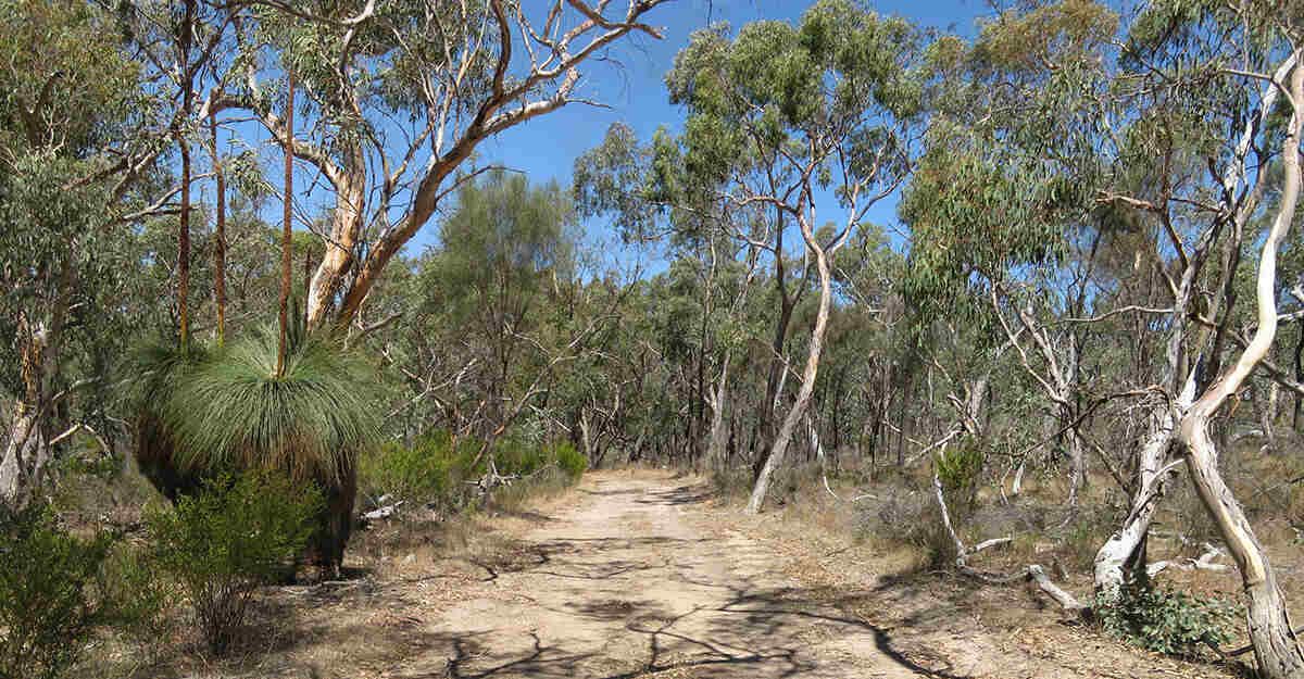 Mount Glenrowan and Chick Hill (Warby Range State Park, Victoria)