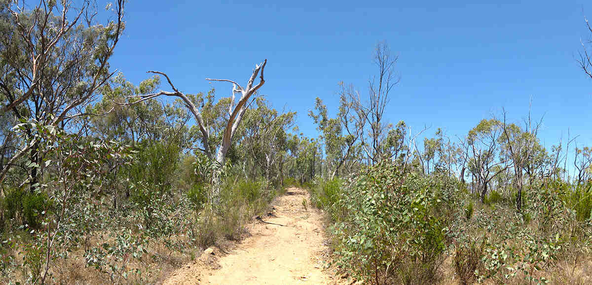 Mount Glenrowan and Chick Hill (Warby Range State Park, Victoria)