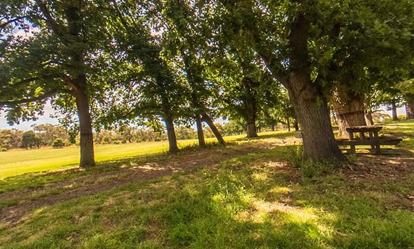 A leafy park (The Briars, Mornington Peninsula) with dappled sun shining through trees