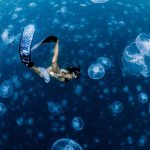 Diving into ocean photography: Tips from a pro